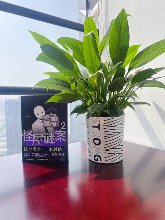 连夜看完！建筑诡计还能这么设计！！