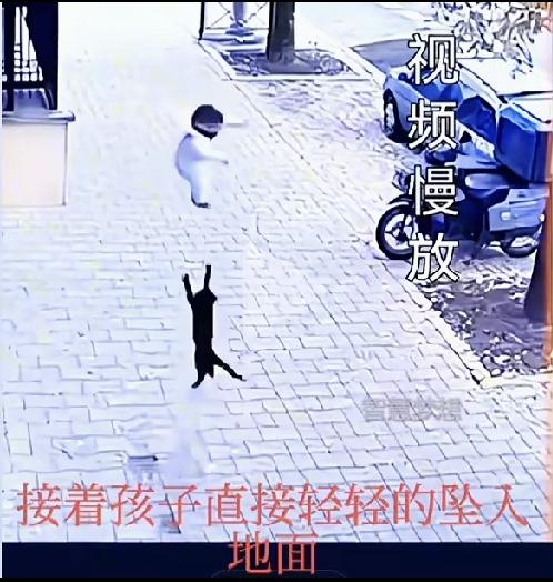 万物皆有灵

刚刚看到一个视频， 一只黑猫咪蹲在楼下打瞌睡，突然听到一个响声，抬