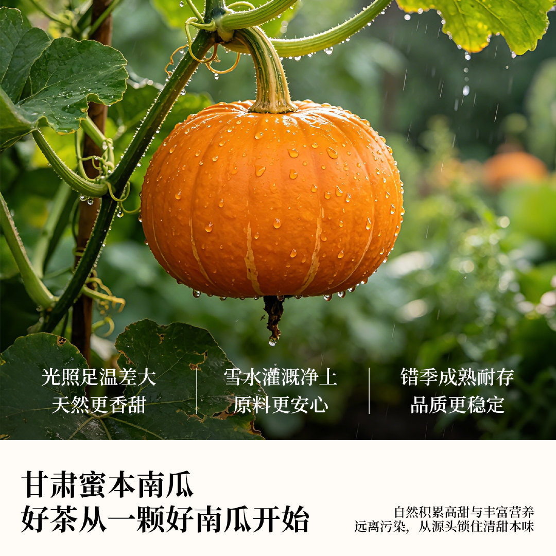最近有点被种草了韩女喝的南瓜水，看到很多韩国女生的日常分享里都有“南瓜水”，不是