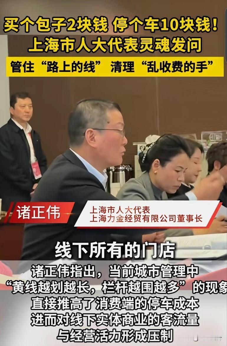 上海市人大代表灵魂发问:“买个包子2块钱，停个车10块钱，管住路上的线，清理“乱