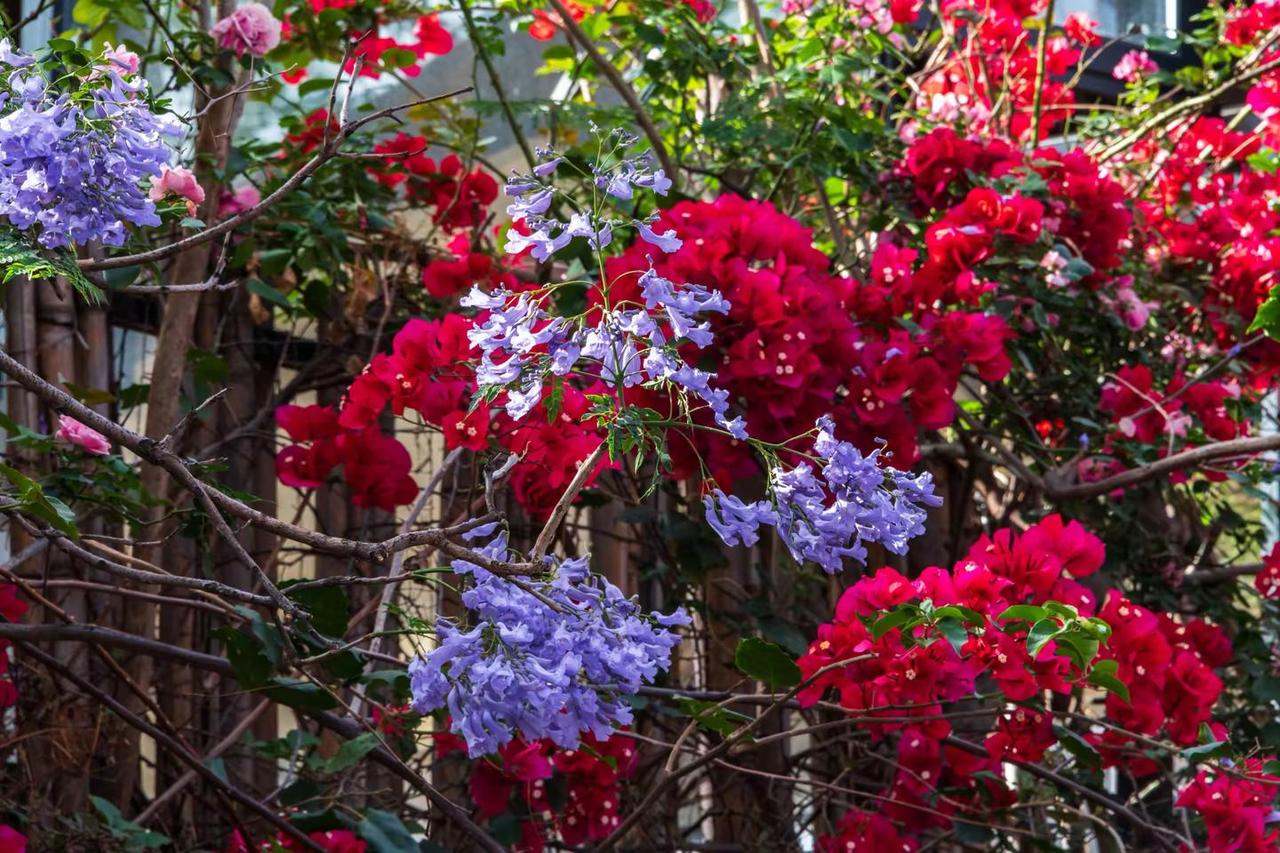 西昌大石板古村。西昌大石板古村风光摄影 我的摄影日记 风景摄影 原创摄影