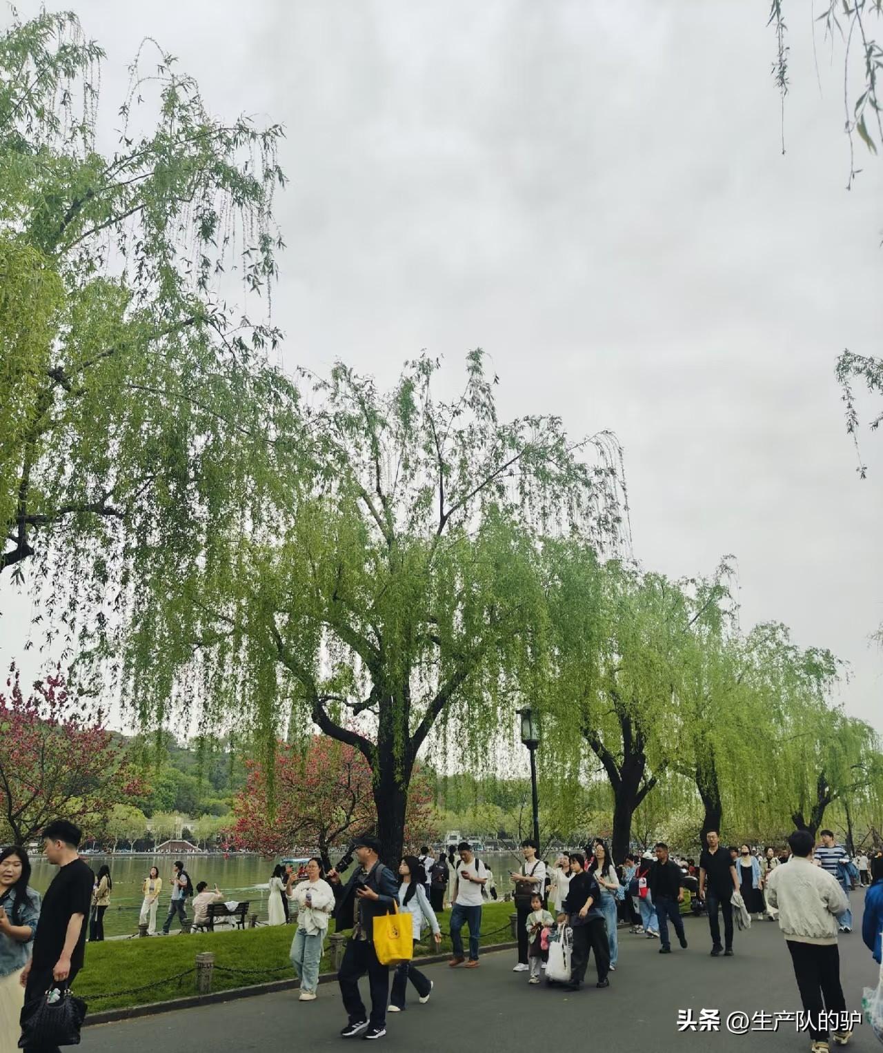 亲赴杭州，才懂它藏在江南里的松弛

亲身走过杭州，才发现它远比网上描摹的更显空阔