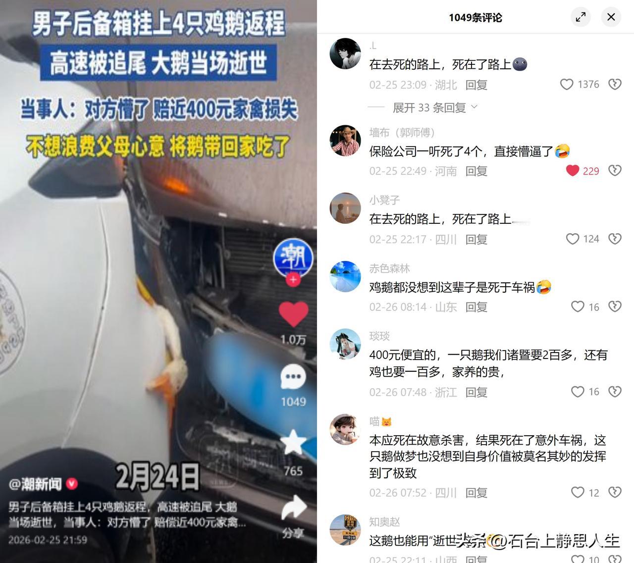 返程挂4只鸡鹅，追尾赔400元

湖北的胡先生从老家返程广东，把爸妈养的4只