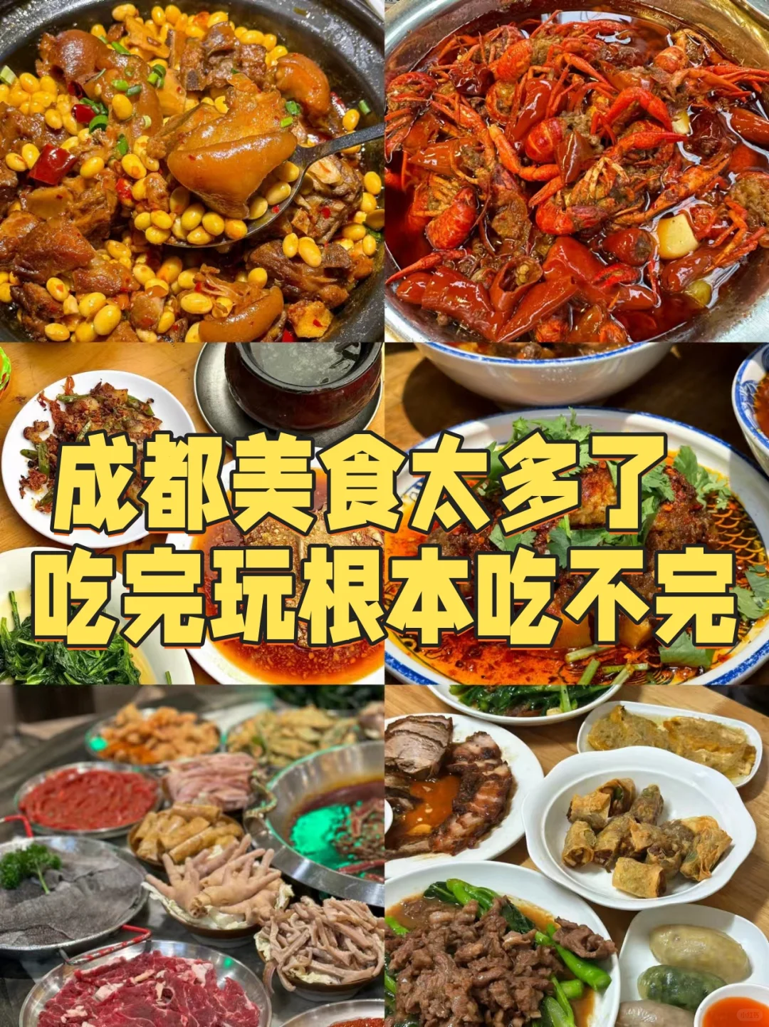 成都美食太多了  吃完玩根本吃不完