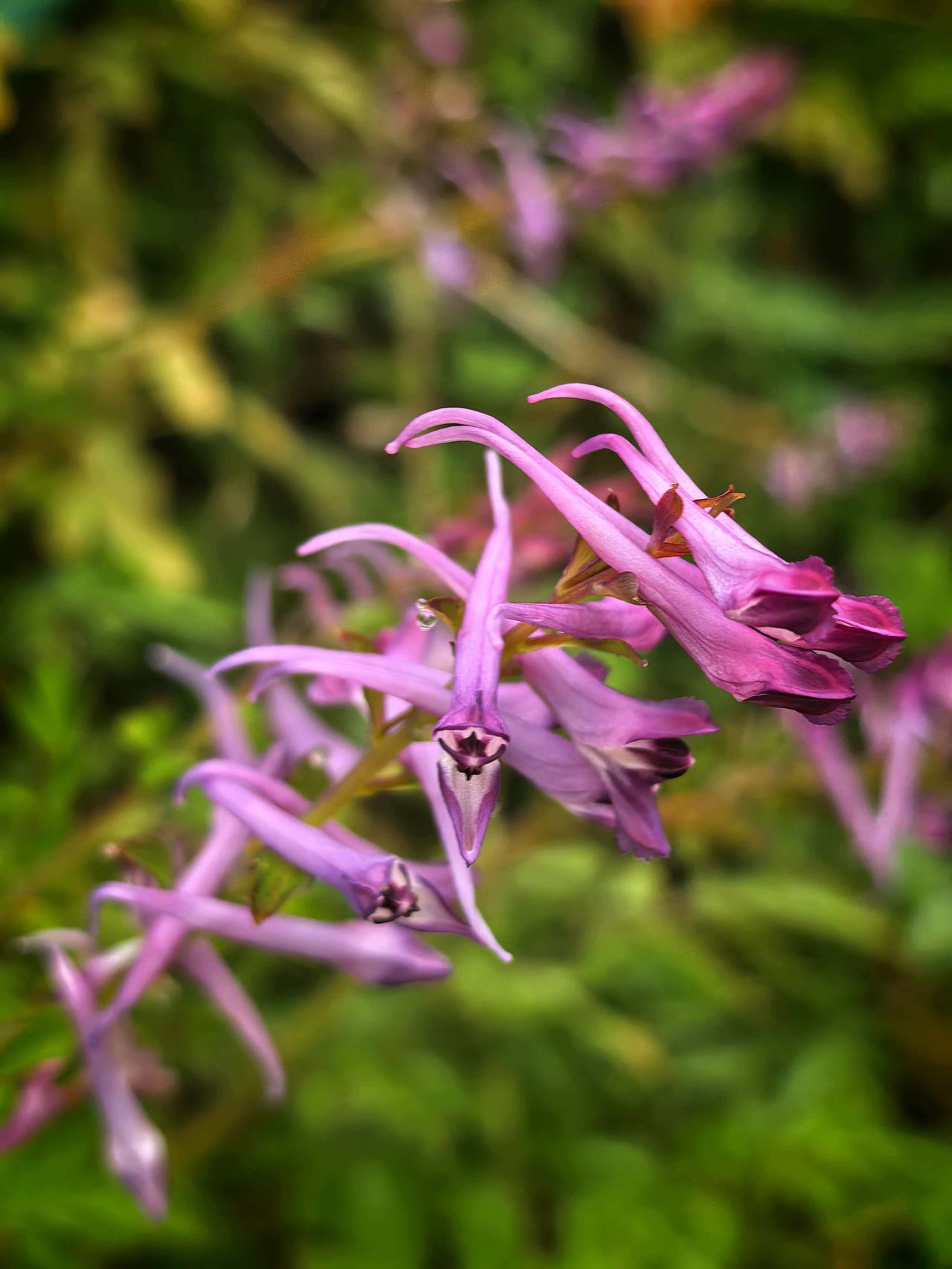 觉醒后，
你经历了独处沉淀的时光，
有了自己的觉知，
就不再需要任何现实意义上的