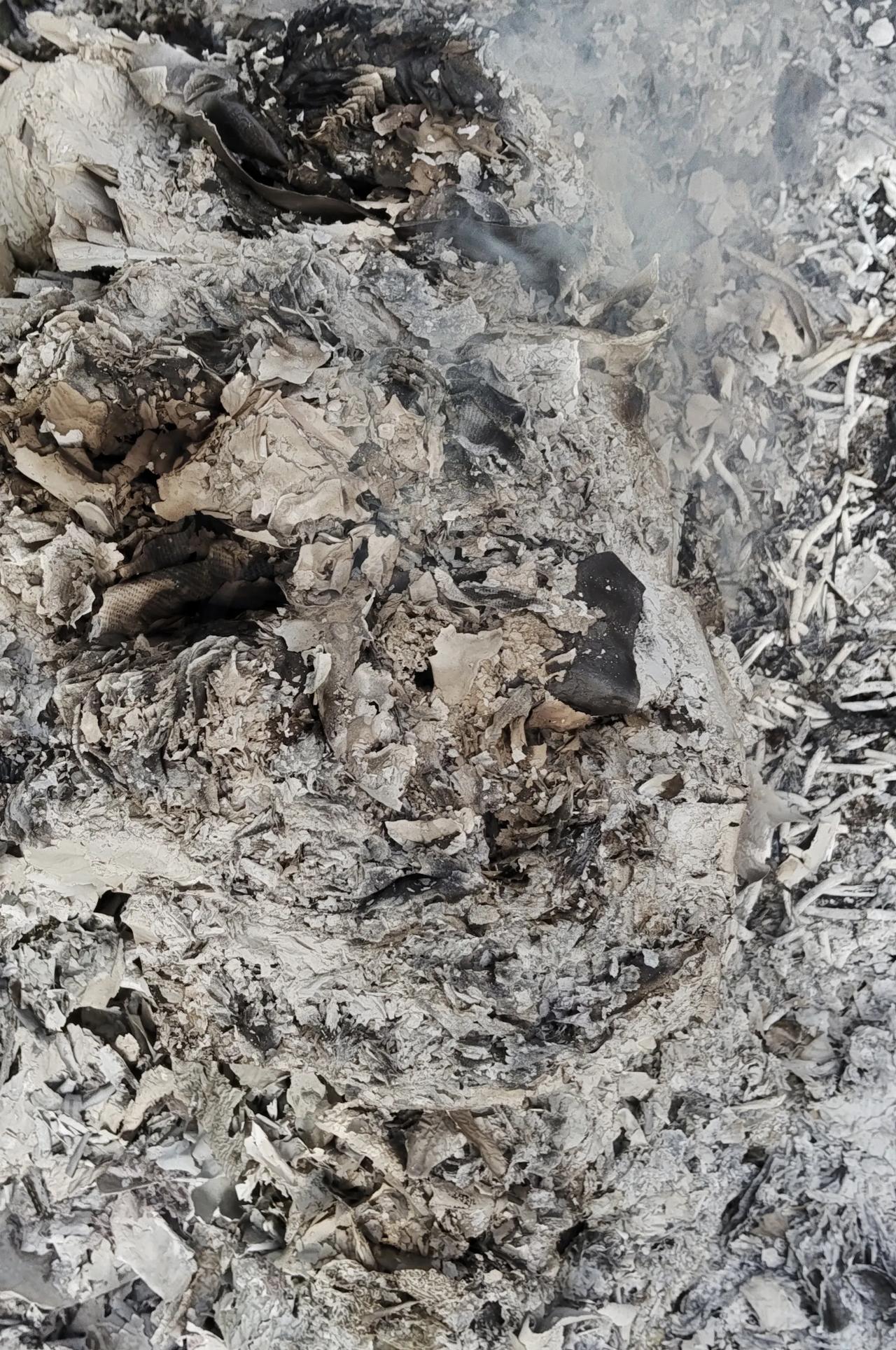 中元节，缅怀先人，展望未来

中元节到了，这可是缅怀先人的重要日子。以前每到这天