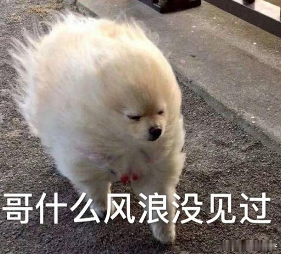 不在沉默中洗亡，就在沉默中爆发，洗亡是不可能洗亡滴，那就在沉默中爆发吧。 ​​​