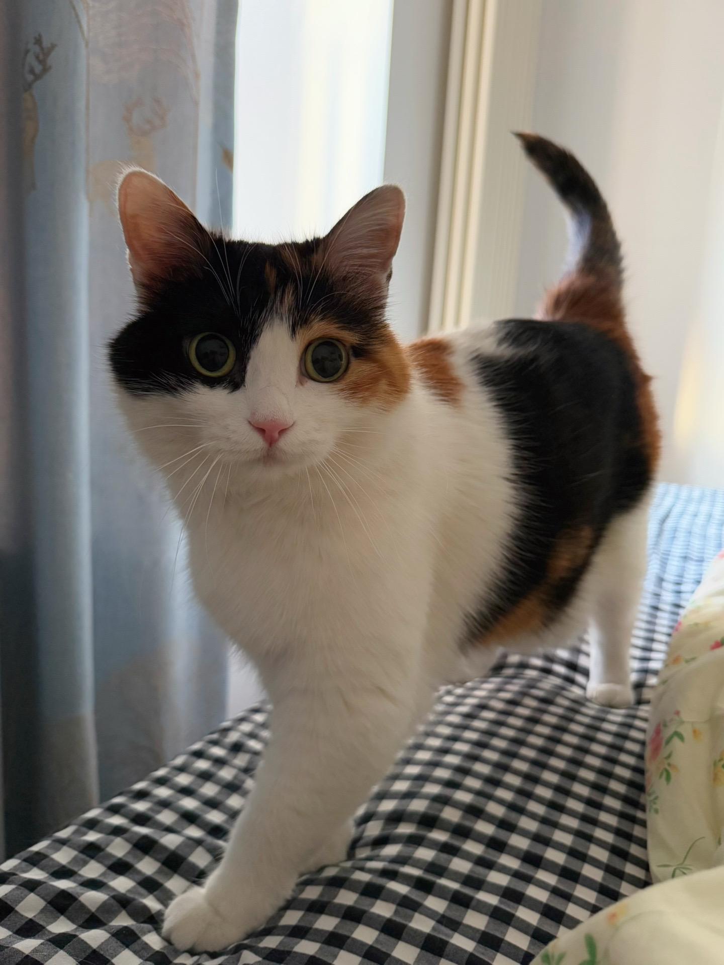 大小姐有起床气。