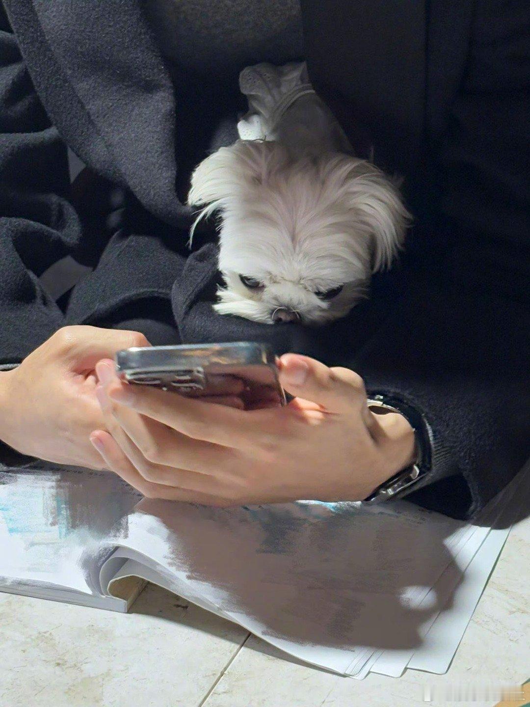 宋威龙哥哥的手也🔥了，骨相拉满！｜宋威龙