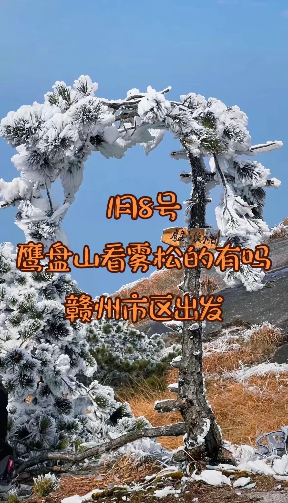 明早出发鹰盘山，有一起的吗雾松 雪