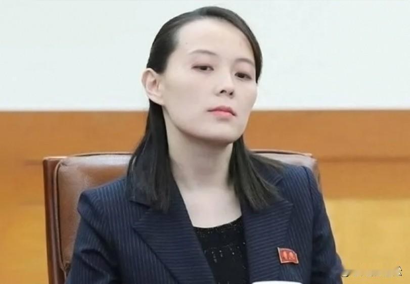 朝鲜正在修建与韩国领土彻底分离的永久性障碍物工程，却遭到韩军警告射击挑衅！
朝鲜