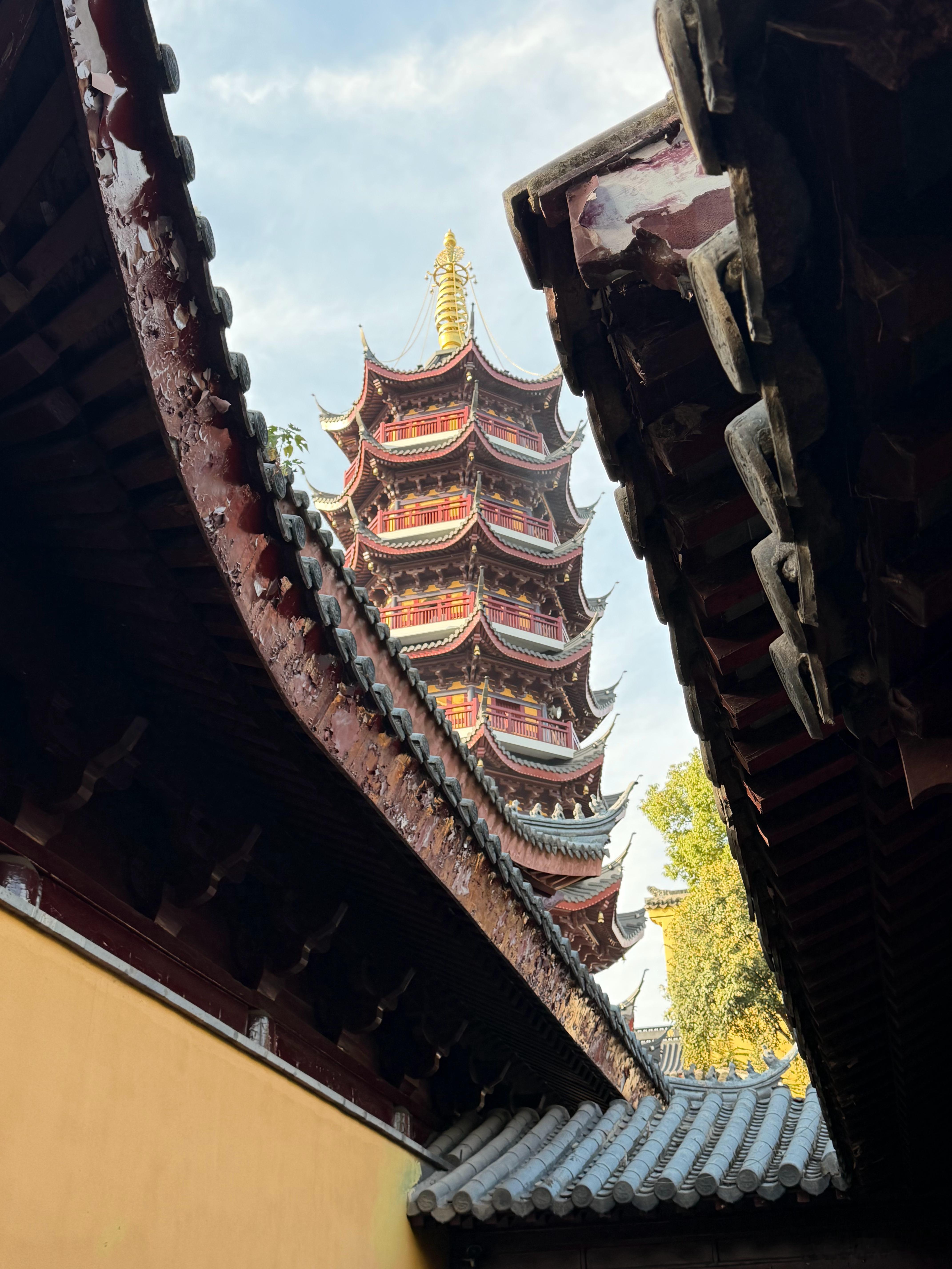 起起又伏伏的十一月 