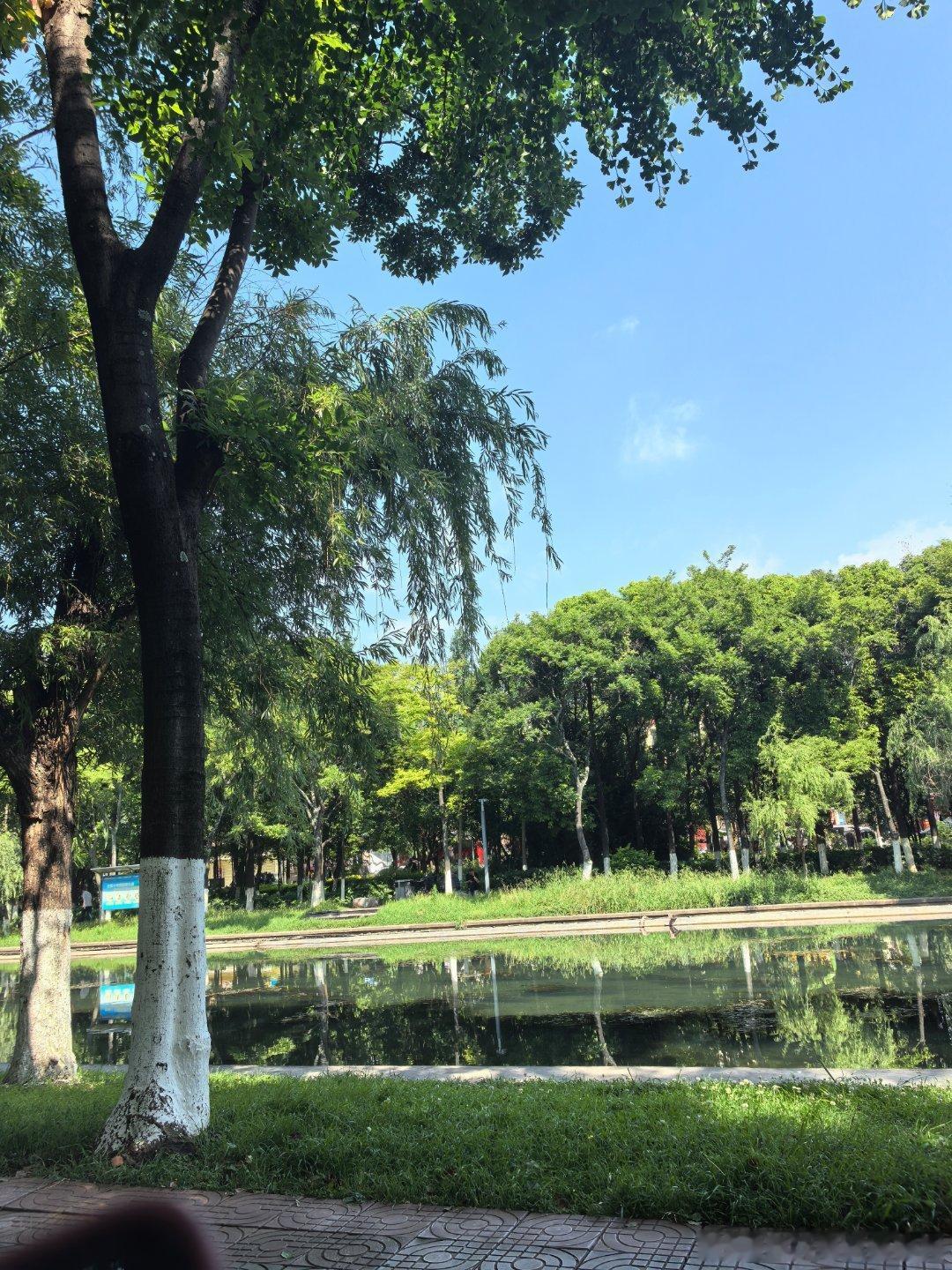 每日一善阳光信用 日行一善，不负时光，用点滴温暖照亮身边角落，让善意在岁月里慢慢