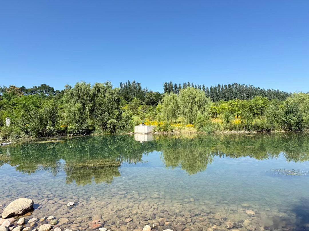 河水漪漪 