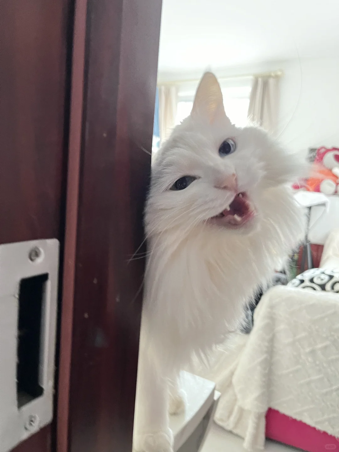 来啦来啦 直接抱起