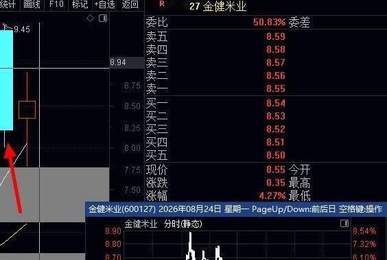 6连涨了，模拟盘尾盘研讨学习：002081，300862熊市下，次日涨自觉走，涨