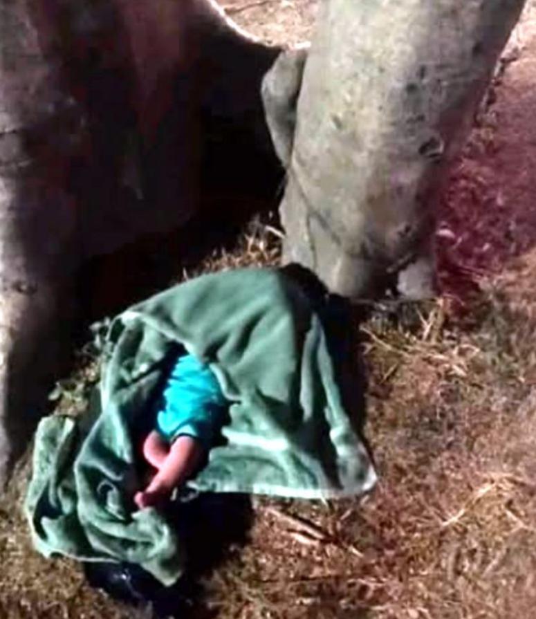 2026 年 3 月 5 日在瓦哈卡州瓦图尔科的一个公园里发现的一名被遗弃的新生