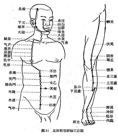#你的脾胃虚是怎么来的#艾灸足阳明胃经足阳明胃经起于鼻翼旁，止于足大趾内侧端。足