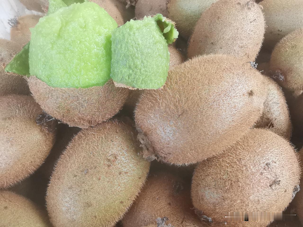 讲句大实话，种粮油、务果菜，别说挣多少钱，就是每年保持不亏不赚打个平手，就已经超