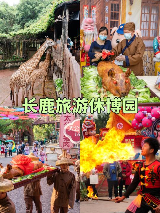 长鹿！我又又又来了🙈