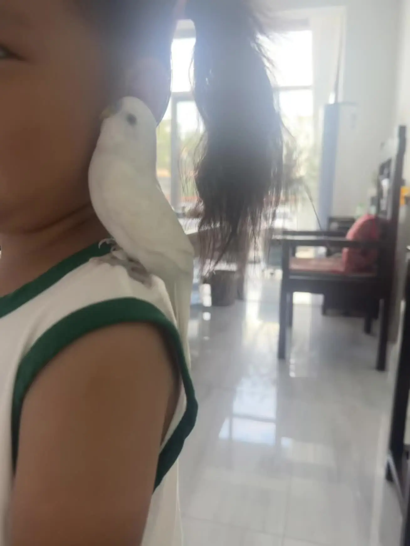 怎么那么可爱