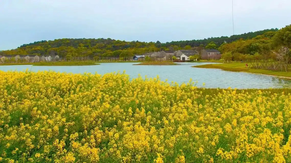 宁波的春日很美，电影文化嘉年华在这举办挺合适的。既有东钱湖、四明山的好风光当天然