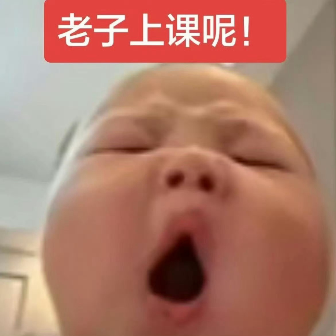 困得要死也得爬起来 