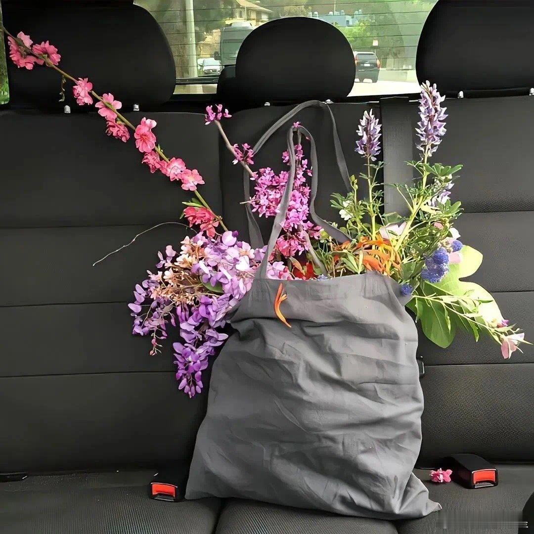 好的心态，是治愈一切的良药，#每日一善[超话]# ​​​