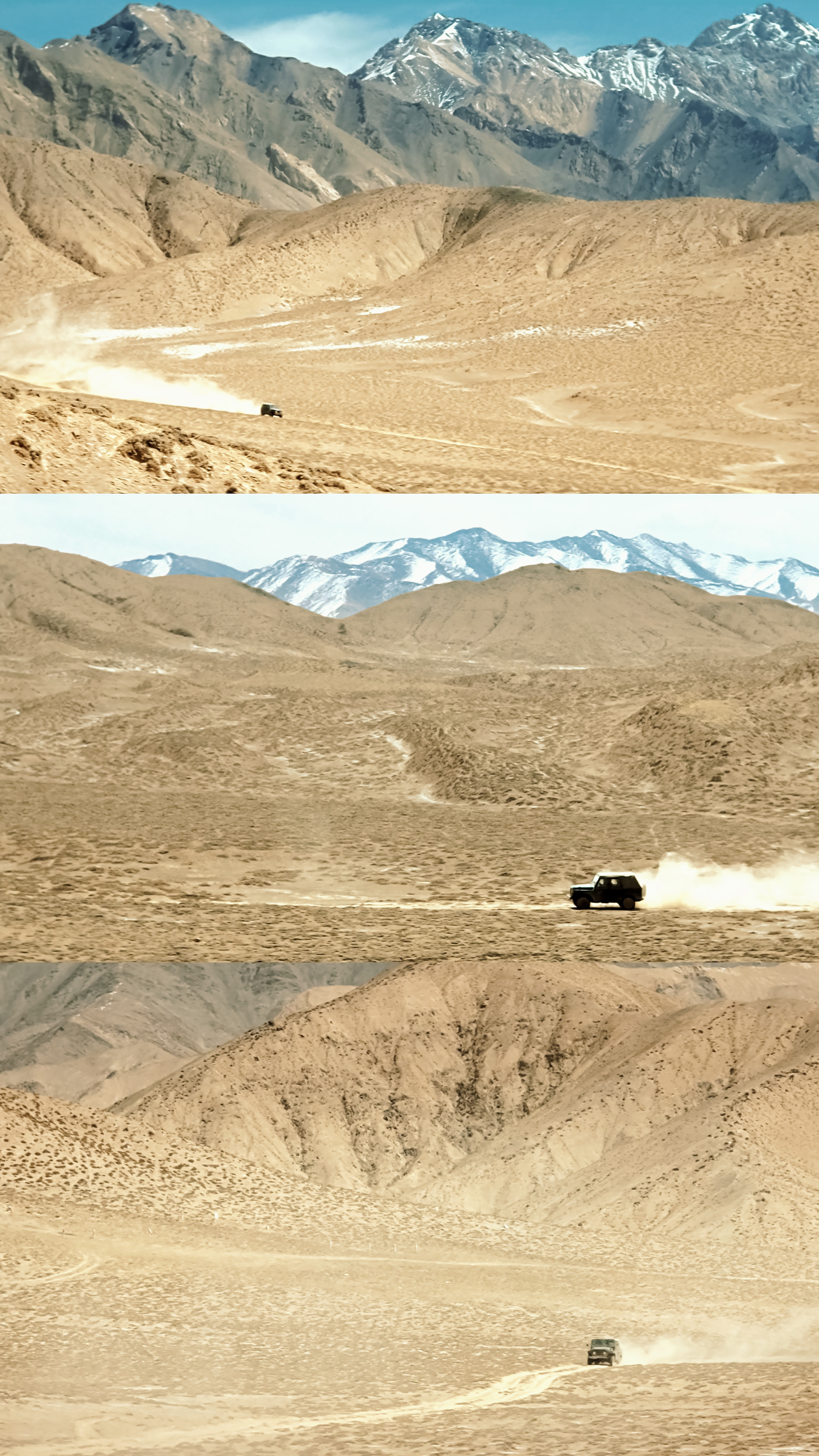 生命树反馈生命树请大家都去看好吗真的很好看啊啊啊！前几天去看片完全被吊住胃口了，