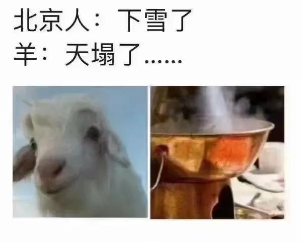 网友：下雪天跟火锅更配！[灵光一闪]