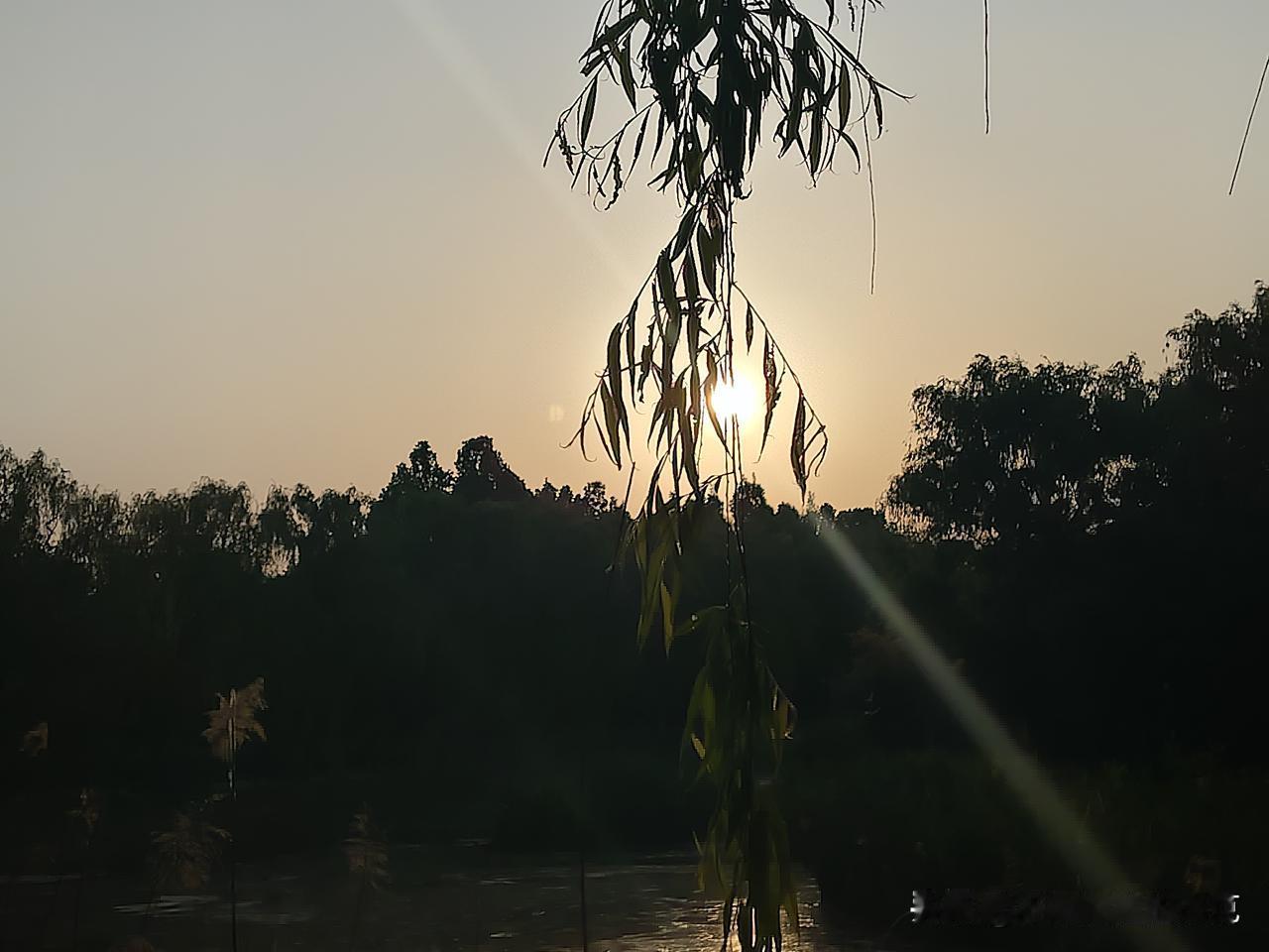 又是崭新的一天
一天好心情