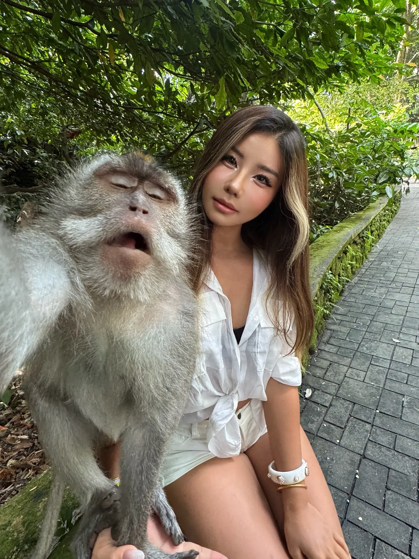 这猴子表情太逗了