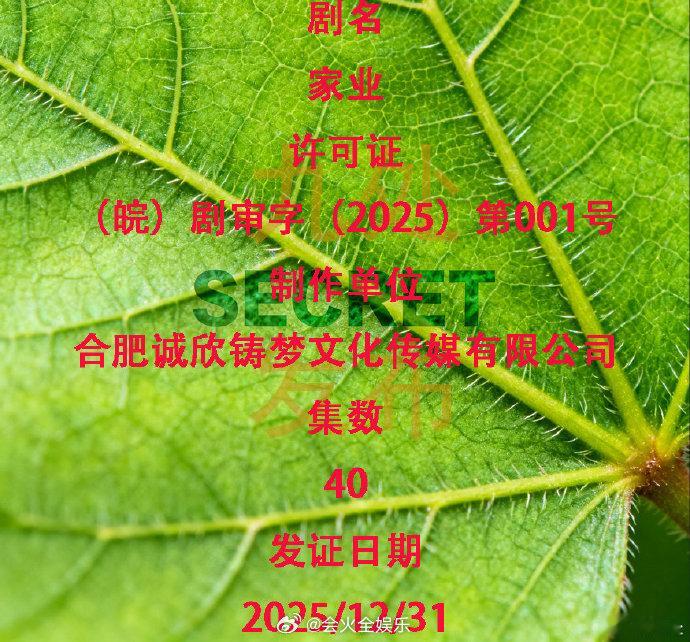 杨紫韩东君家业过审下证家业过审下证了 新年的第一个好消息！我将燥候《家业》 