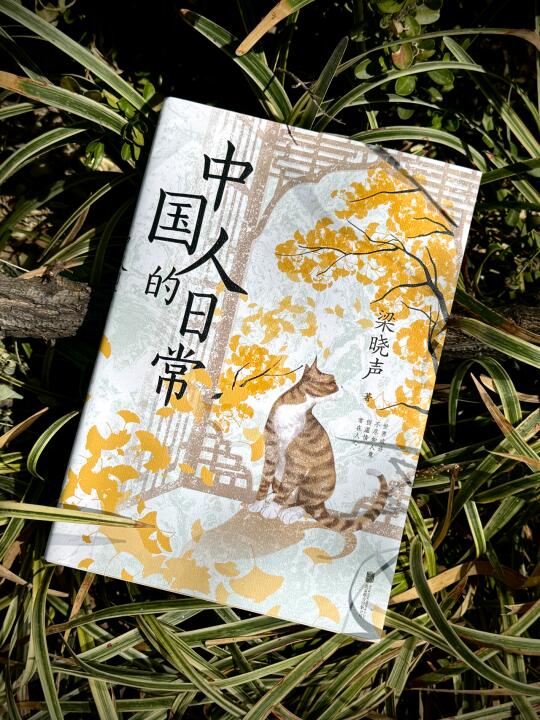 不是跌宕起伏的戏剧，而是最平凡的人生💦