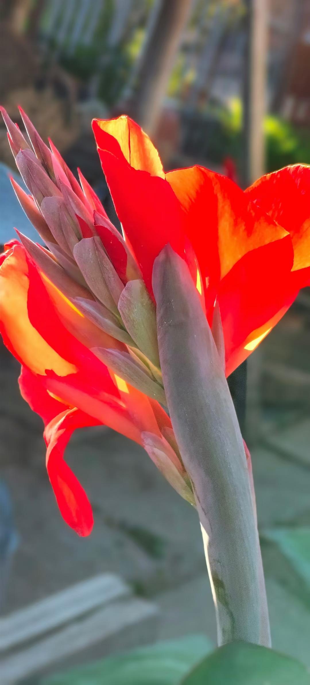 


蹲着or坐着，如厕时哪个姿势更健康？