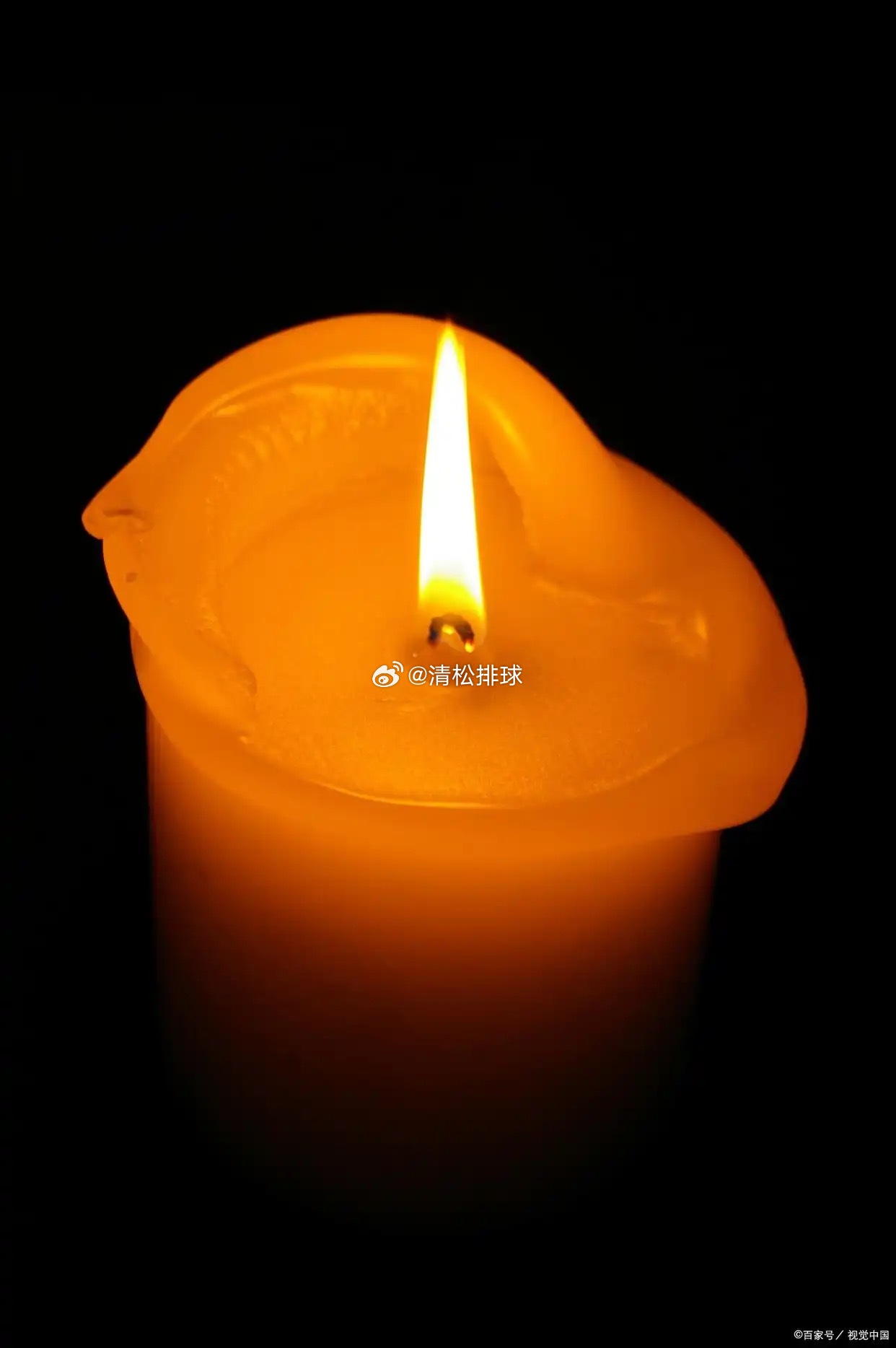 伊朗20名女排球员丧生愿世界和平