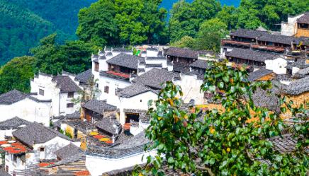 江西旅游商贸职业学院，公办全日制大专。学校在南昌，校园1334亩，在校生两万多号