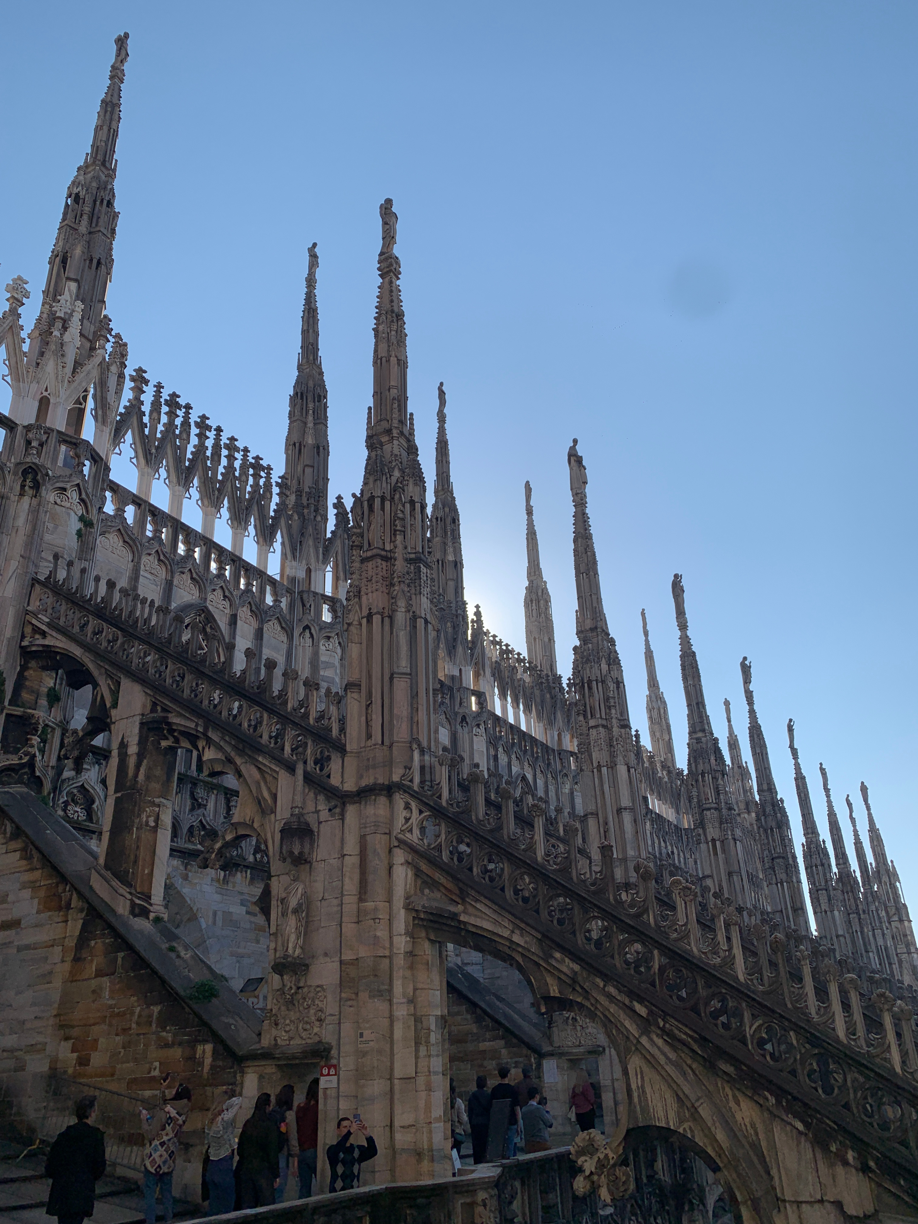 Duomo di Milano 🕊️ 