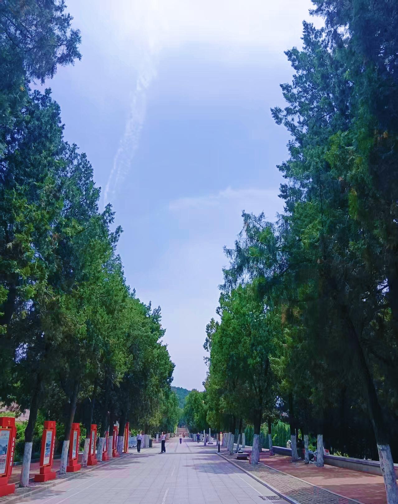 年少吃苦和年老吃苦,哪一个更苦?年少吃苦，是把眼泪熬成底气；年老吃苦，是把遗憾咽