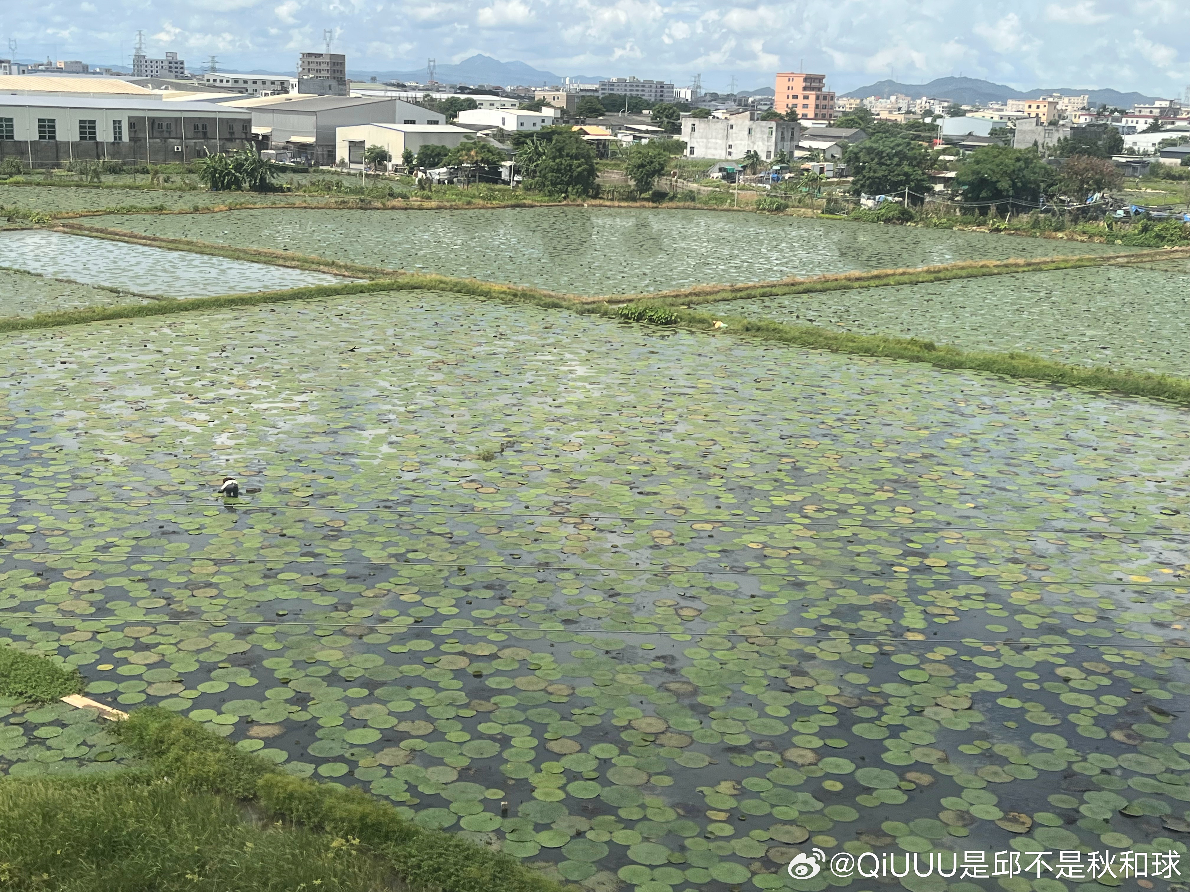 回家画稿回家画稿