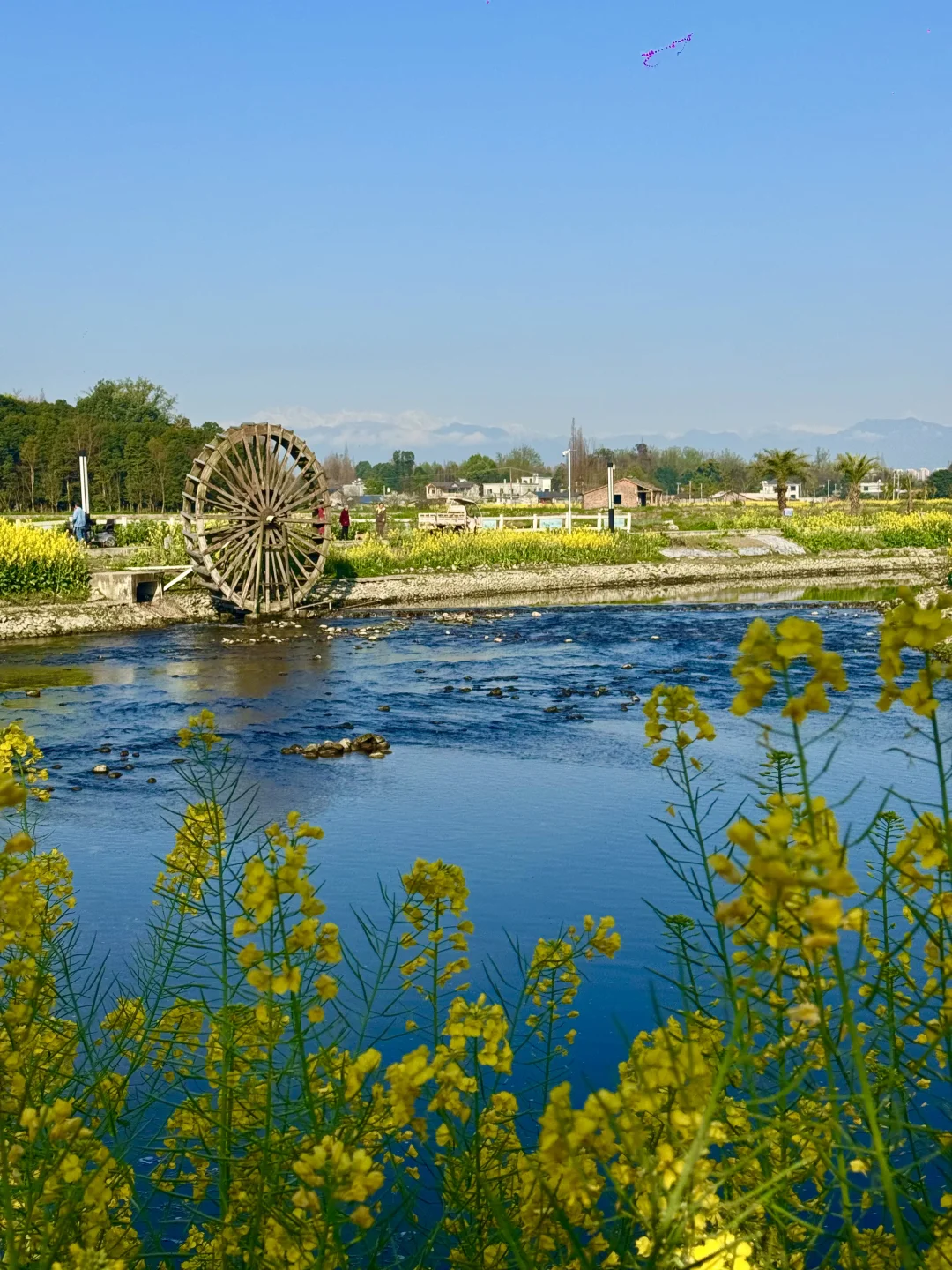 3月4日实拍，今天的成都又见雪山🏔️