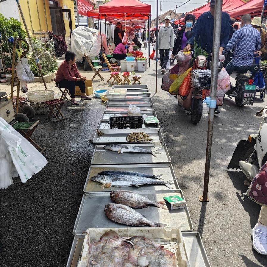 今天这里的海鲜价格如下：
蛤蜊：15块钱两斤；
蛏子：20块钱一斤；
海蛎子：7