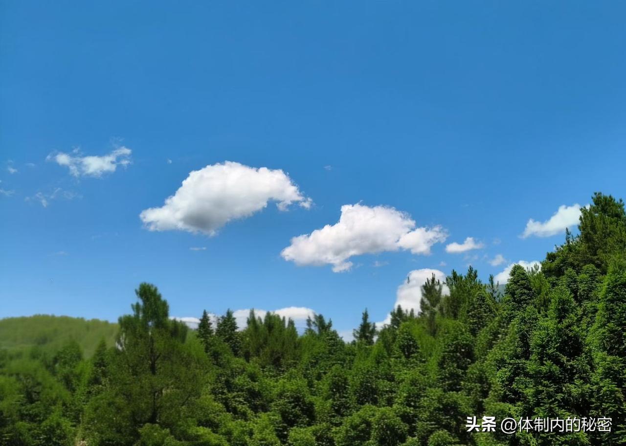 你看现在有些人当官，真把基层当成打卡景点。

我观察了一下，大致有四类。

第一