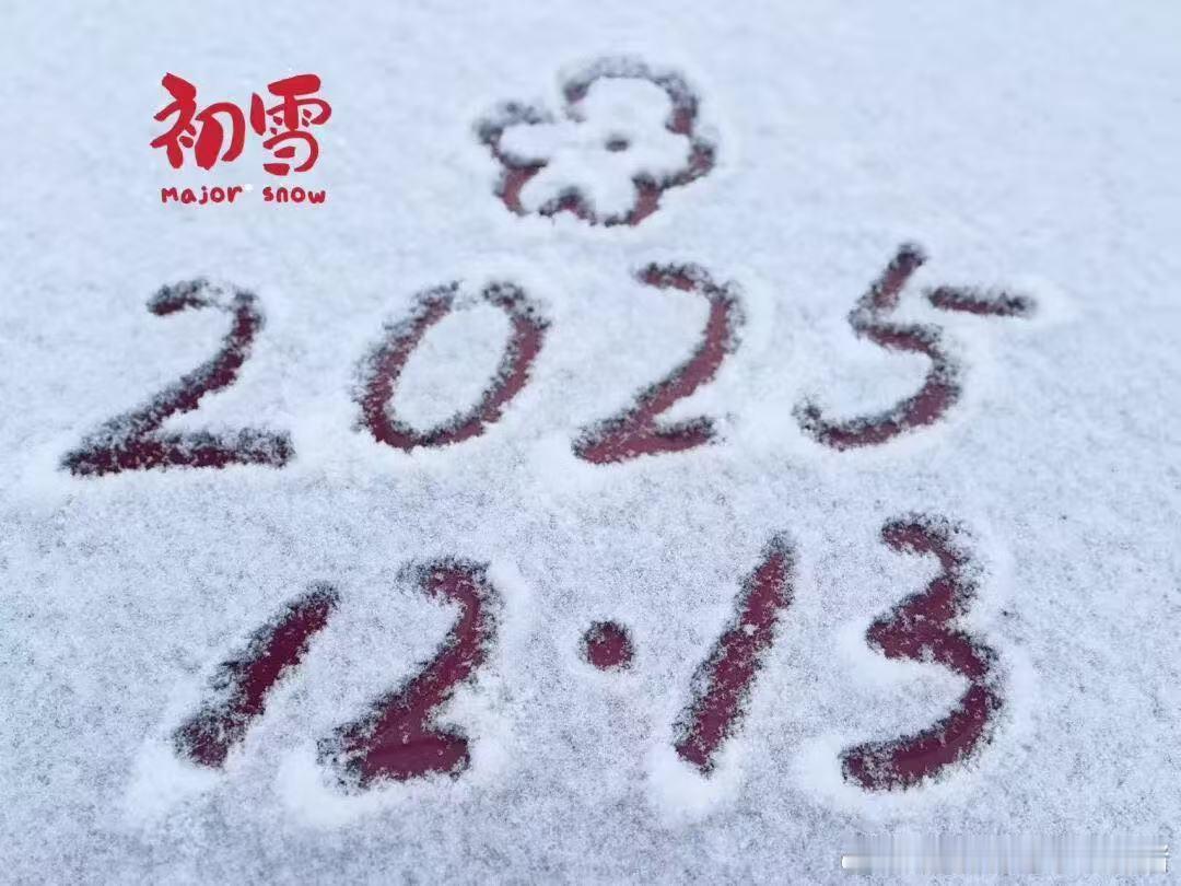 天津武清雪后氛围感拉满天津初雪美丽武清 谁能想到！武清一夜入冬变雪国！树枝挂着雪