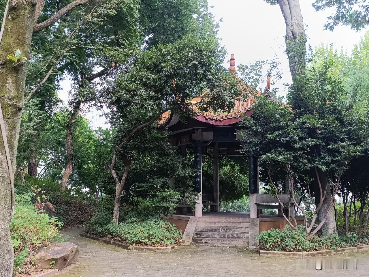 这几天见小卖部的在送货，拖着个小平板车，上面放几个塑料筺子，筐子里五花八门，各类
