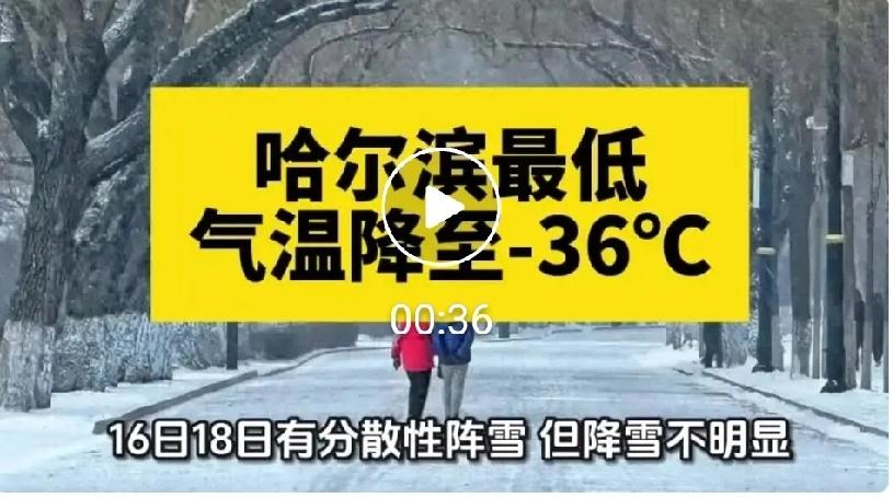 哈尔滨将迎降雪！最低气温降至-36℃-CN