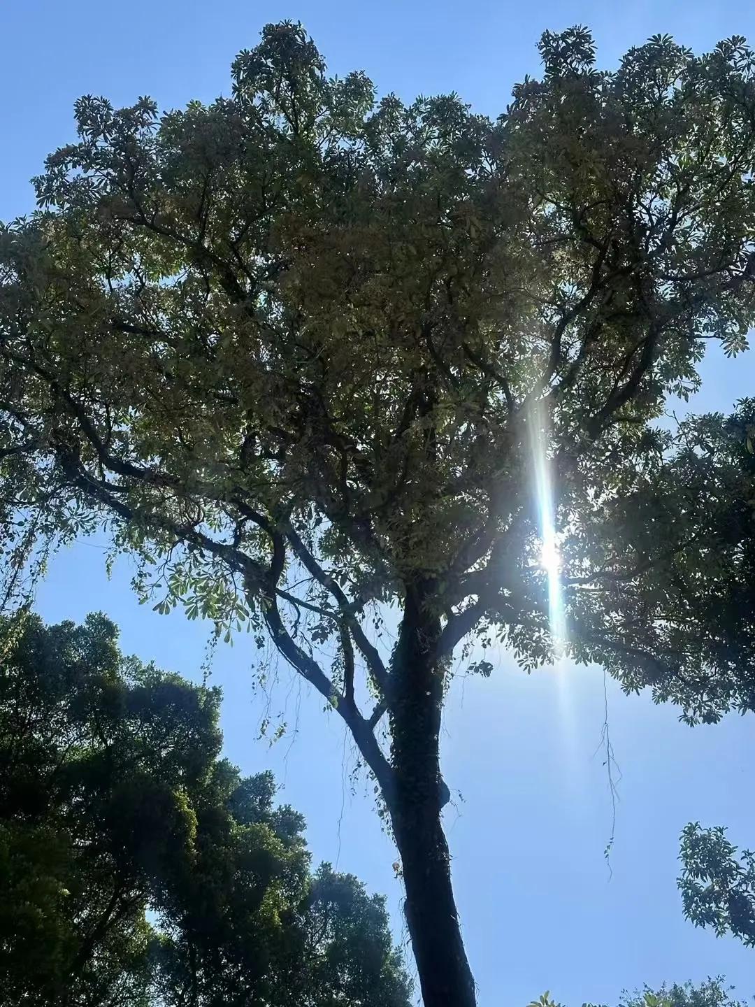 
天很蓝，风很凉，太阳暖暖的～[太阳]