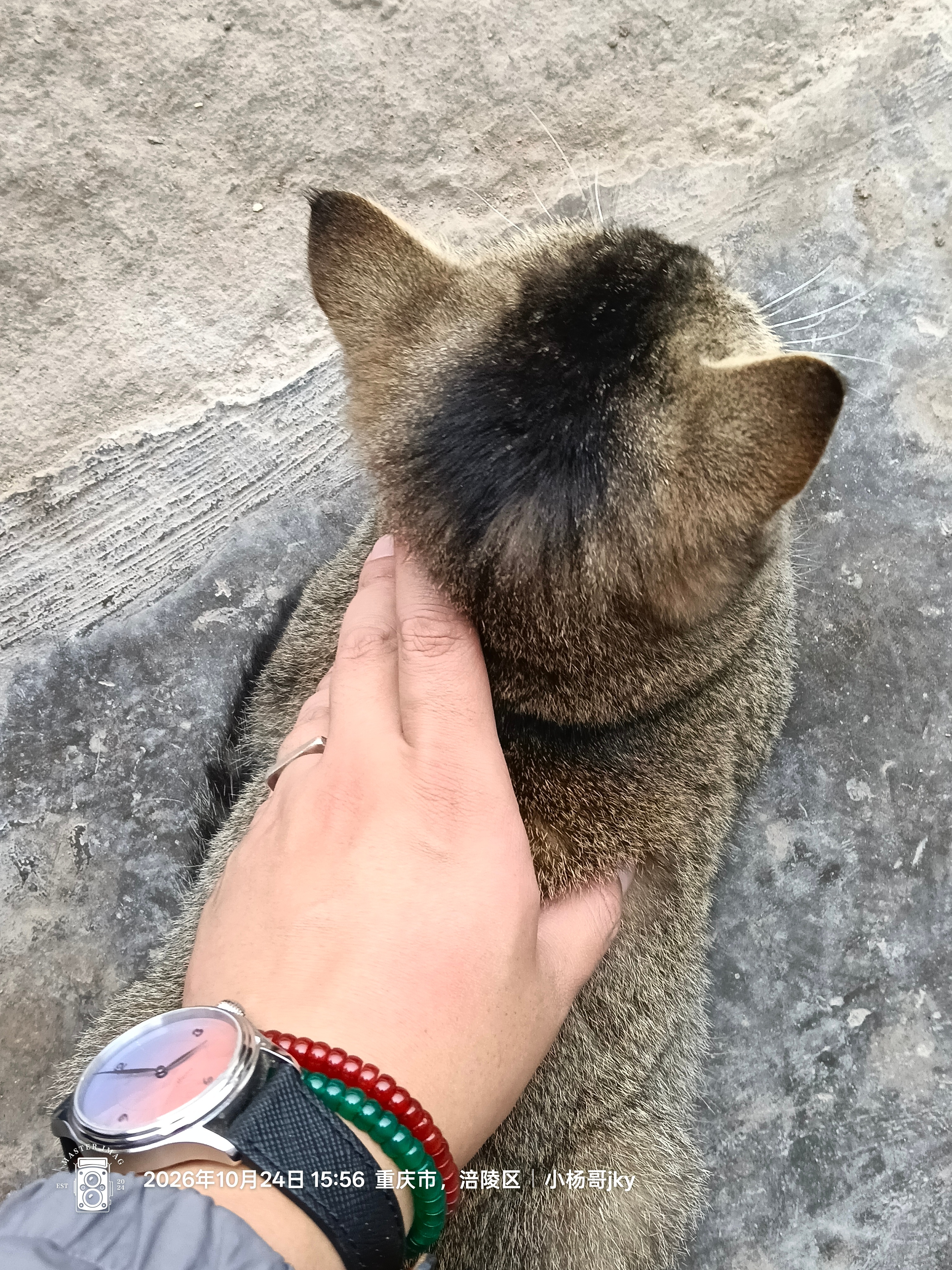 猫小杨哥随手拍涪陵乡村漫游  ​​​
