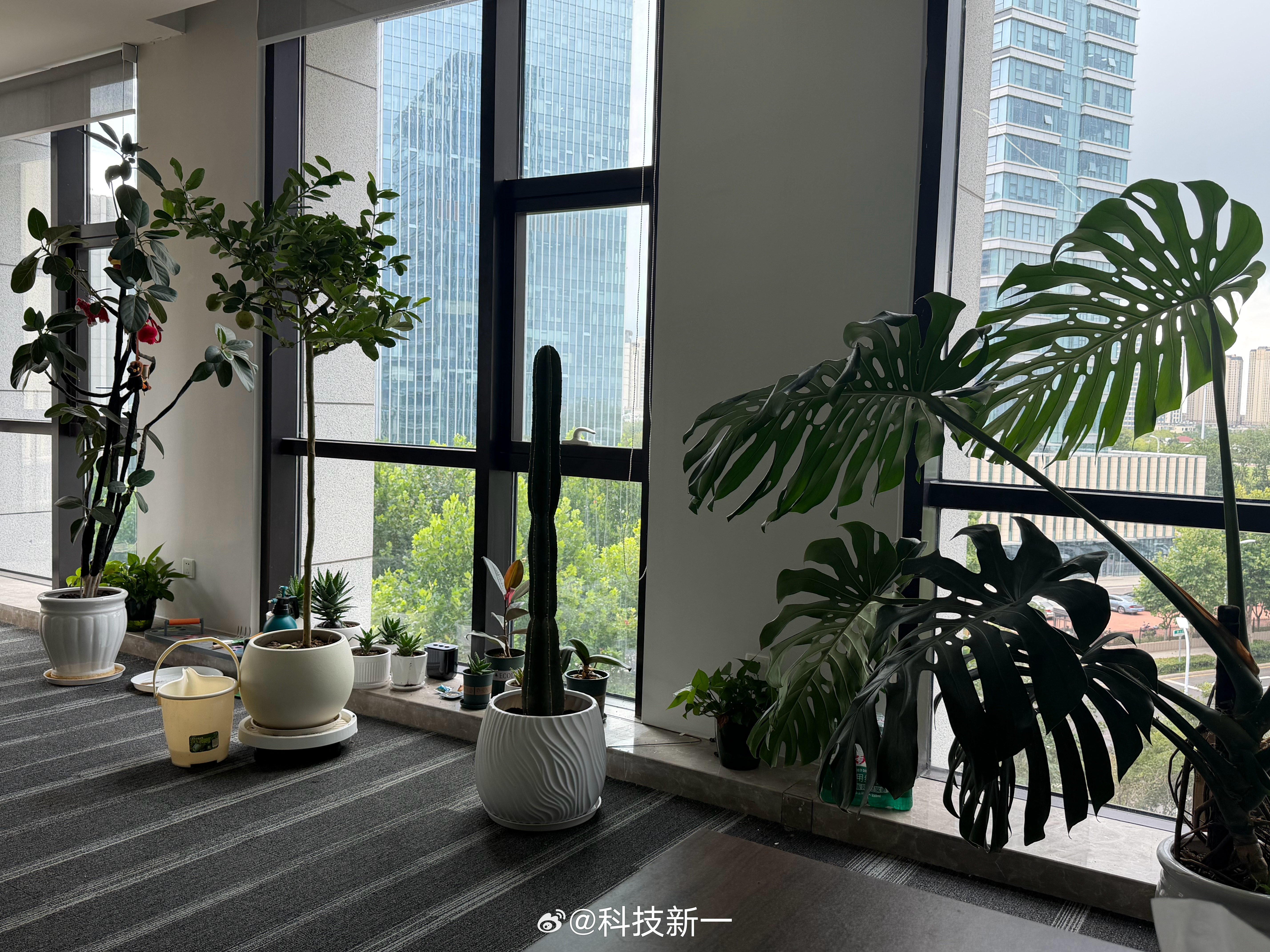 昨天天气预报说青岛今天大雨，我还在犹豫要不要上班，结果今天晴空万里，一柱擎天白海