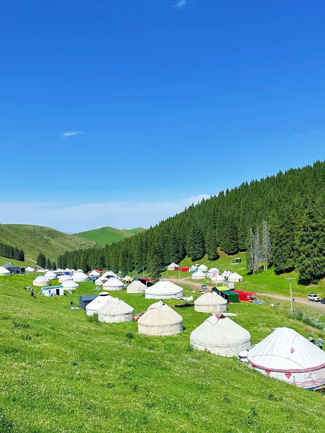 送装员在草原上找到蒙古包有多难没有地址只有照片的蒙古包要怎么找原来真的是要拍一张